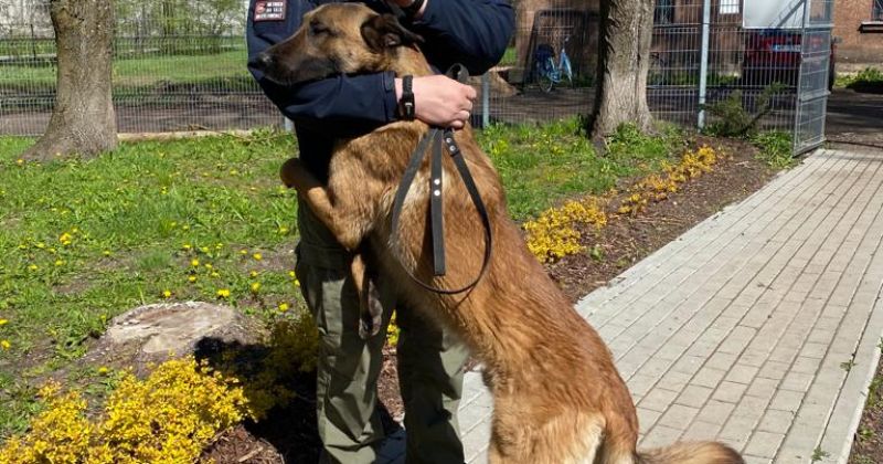 Notiku&scaron;as pirmās brīvprātīgo palīgu apmācības Jēkabpils dzīvnieku patversmē