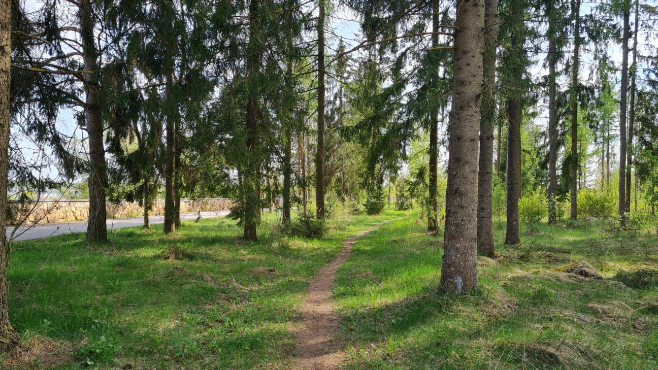 Skolēni aicināti pildīt “Zaļās klases” uzdevumus Jēkabpils Mežaparkā