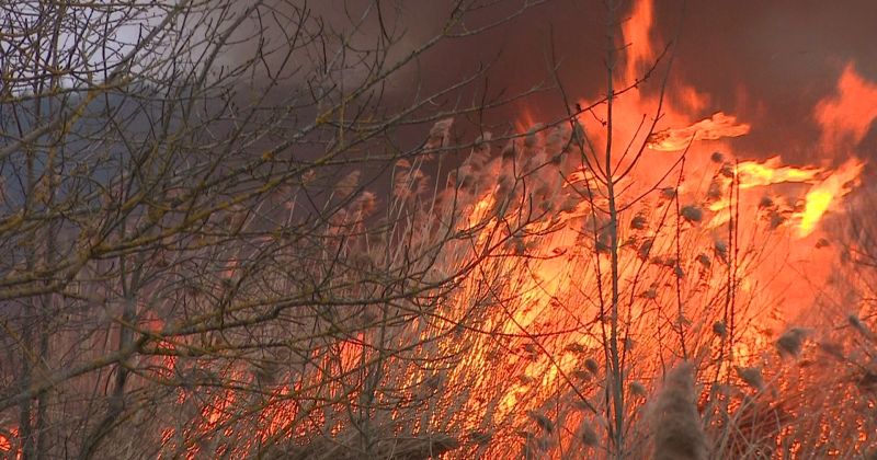 Zemgalē reģistrēti četri kūlas ugunsgrēki