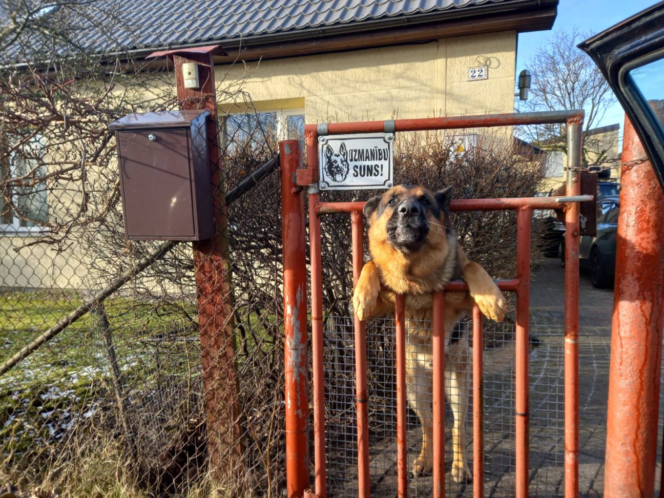 Šogad fiksēti seši suņu uzbrukumi pastniekiem