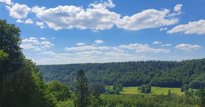 Ar policijas skaņas signāliem aptuveni stundas laikā atrod divus mežā apmaldīju&scaron;os jaunie&scaron;us