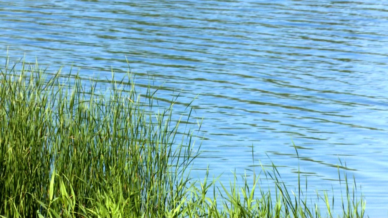 Krustpils pagastā no dīķa izcelts miris cilvēks