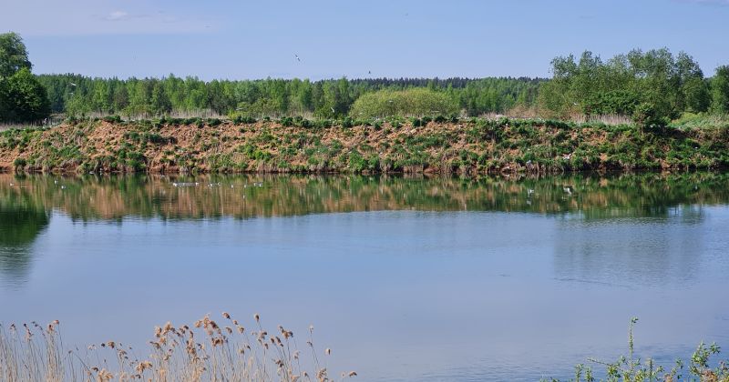 Jēkabpilī izplatās putnu gripa &ndash; noteikti vairāki ierobežojumi