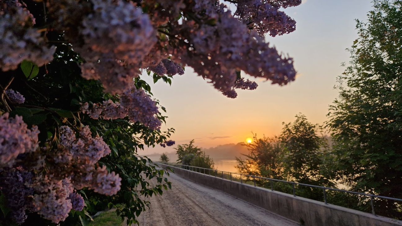 Nedēļas nogalē kļūs aukstāks