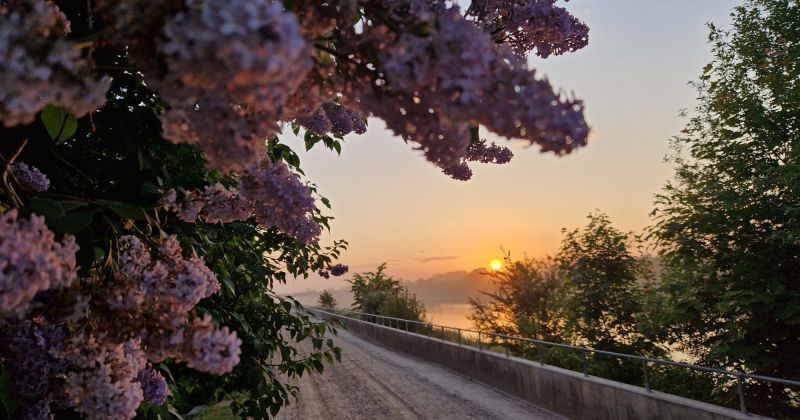 Nedēļas nogalē kļūs aukstāks