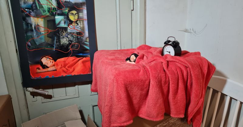 Atklāj Jēkabpils Agrobiznesa koledžas audzēkņu darbu izstādi