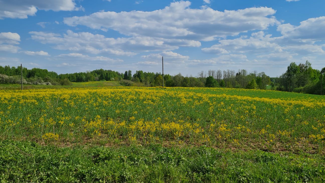 Valdība atbalsta īpašu likumu Sēlijas militārā poligona izveides paātrināšanai