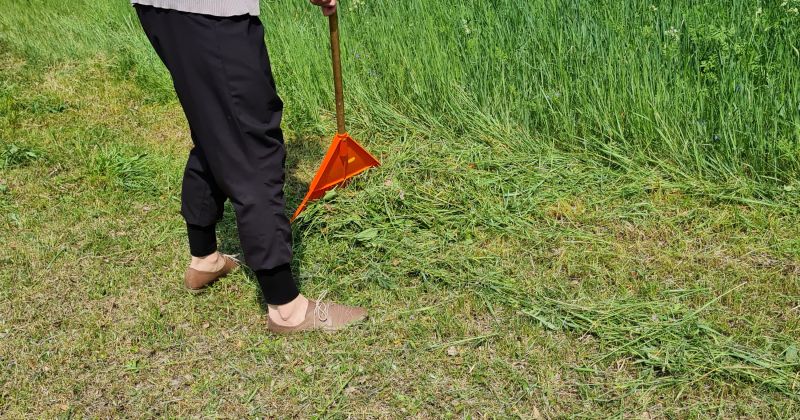 &Scaron;ovasar Jēkabpils novadā tiks nodarbināts 201 skolēns