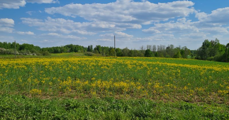 Valdība atbalsta īpa&scaron;u likumu Sēlijas militārā poligona izveides paātrinā&scaron;anai