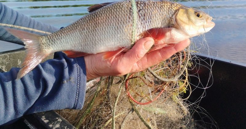 Veic izpēti trīs Jēkabpils novada ezeros