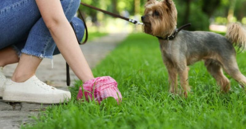 &ldquo;Jēkabpils pakalpojumi&rdquo; atgādina, ka aiz sava suņa ir jāsavāc