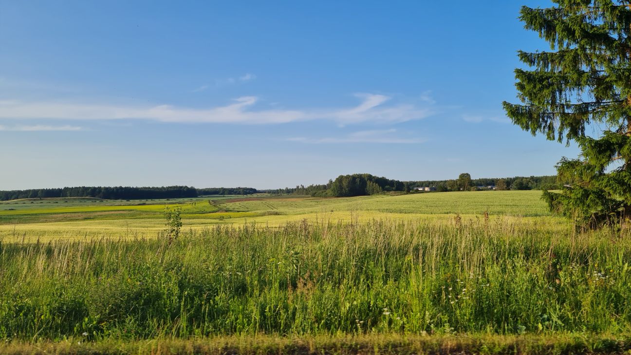 Lietus aizkavējis ražas novākšanu, bet nav bojājis tās kvalitāti
