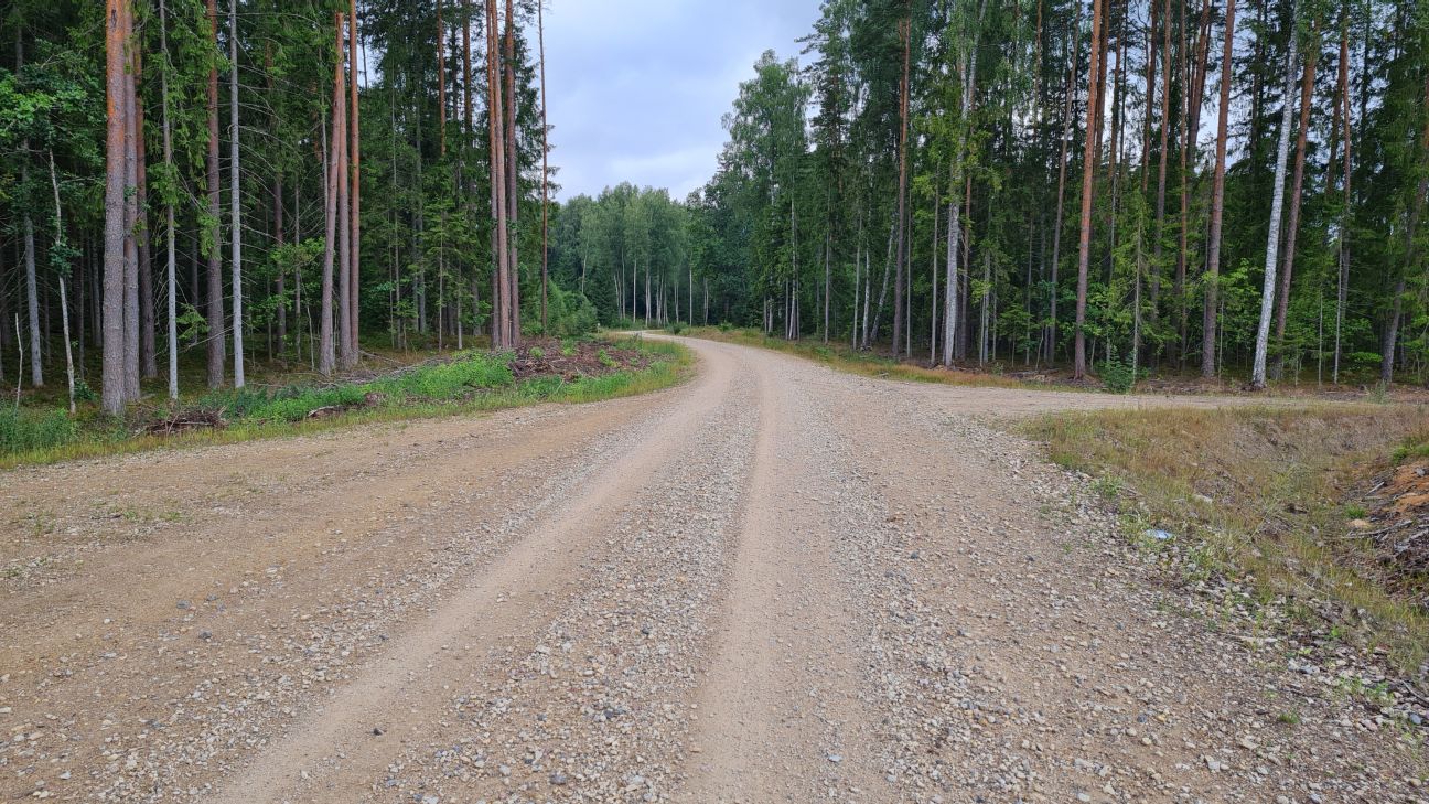 Pagājušajā nedēļā cūku mēris konstatēts sešām mežacūkām Jēkabpils novadā