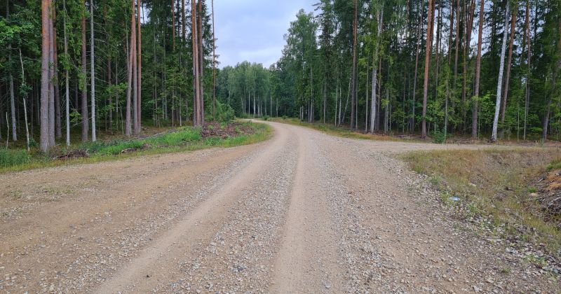 Pagāju&scaron;ajā nedēļā cūku mēris konstatēts se&scaron;ām mežacūkām Jēkabpils novadā