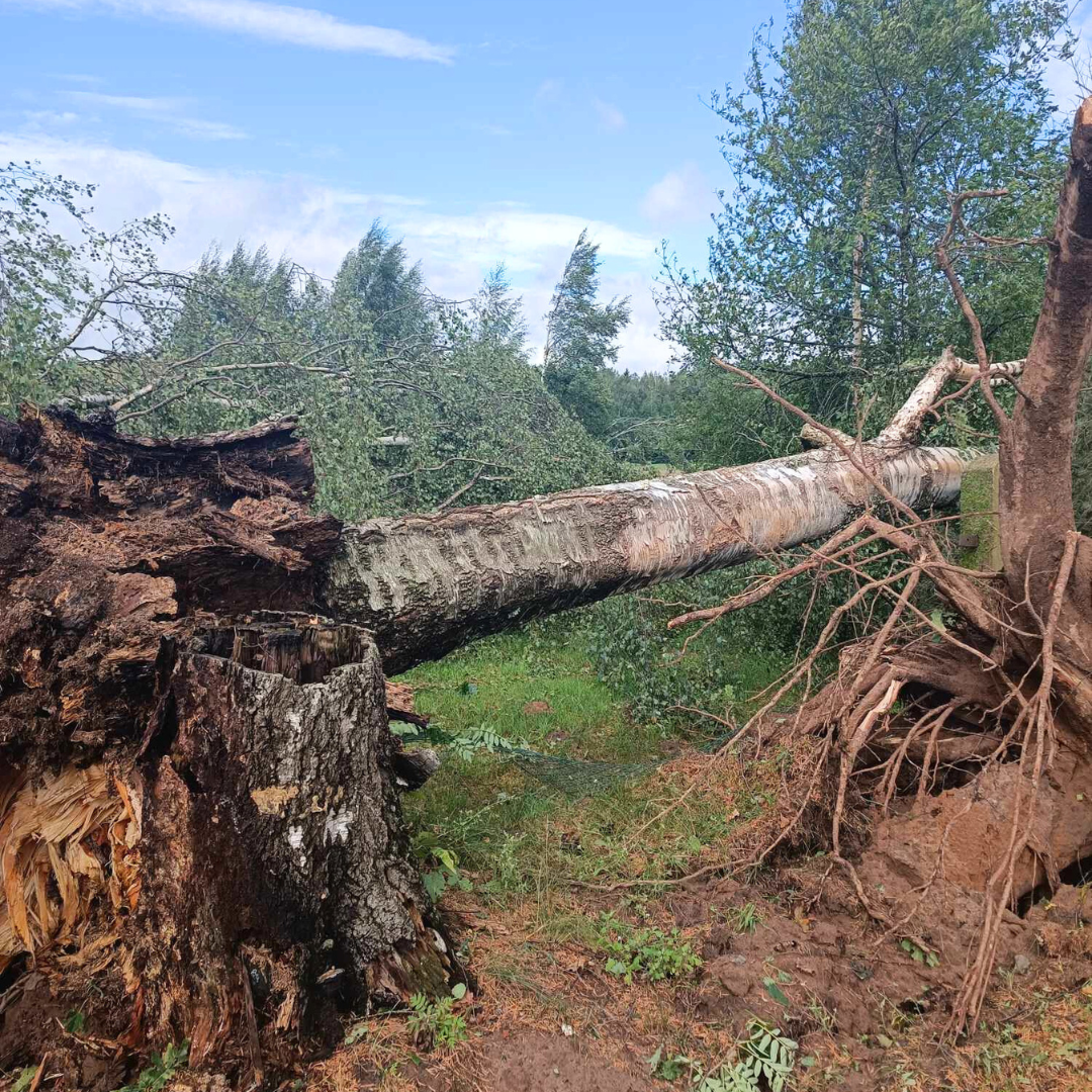 Līvānu novadā vētra radījusi postījumus saimniecībās, kapsētās un citviet
