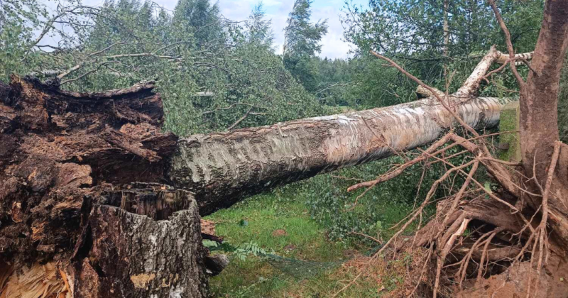 Līvānu novadā vētra radījusi postījumus saimniecībās, kapsētās un citviet