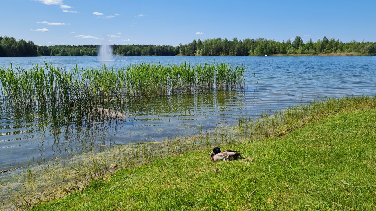 Ūdens kvalitāte Radžu ūdenskrātuvē ir laba – peldēties atļauts