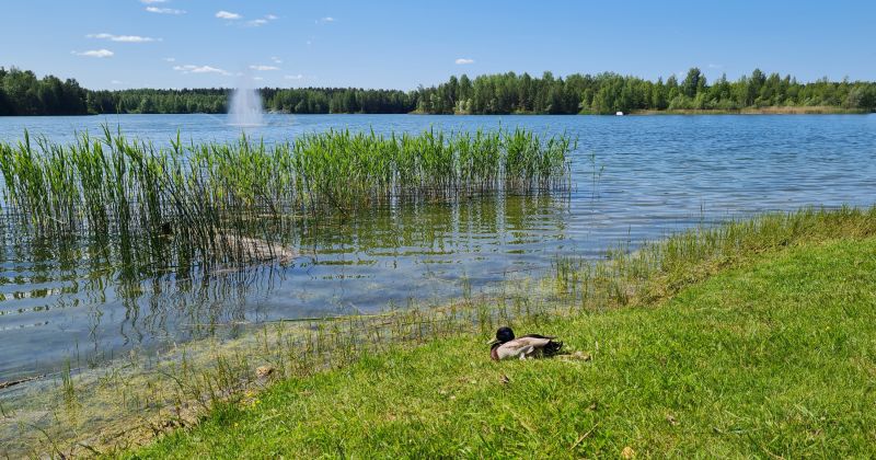 Ūdens kvalitāte Radžu ūdenskrātuvē ir laba &ndash; peldēties atļauts