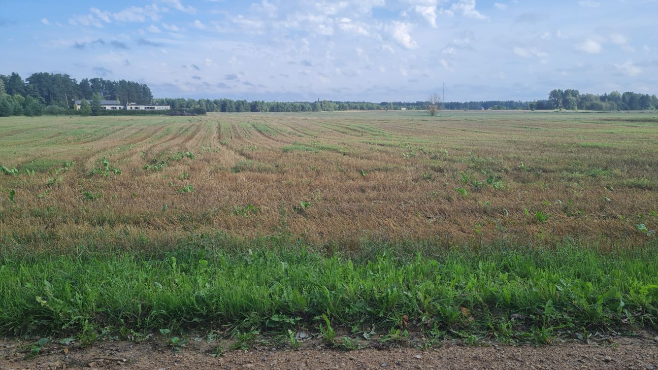 Ābeļu pagastā plāno veidot infrastruktūru ģimeņu māju apbūvei