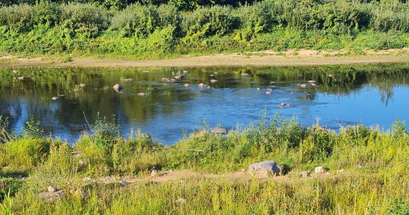 Pļaviņu HES ietekme Salas pagastā &ndash; iedzīvotāju un HES viedokļi at&scaron;ķiras
