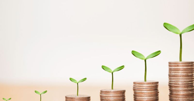 Kā grāmatvedis var uzlabot uzņēmuma rentabilitāti?