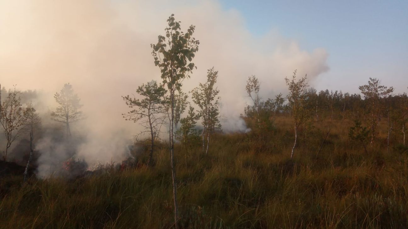 Atašienes pagastā turpinās ugunsgrēka teritorijas uzraudzība purvā