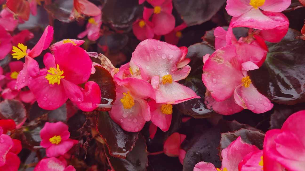 Zīlānu novērojumu stacijā turpinās meteoroloģiskā vasara