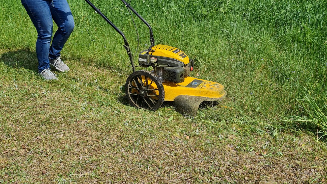 VUGD: parūpējies par īpašumu tagad, lai pavasarī nedegtu sausā zāle!