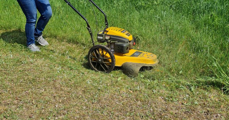 VUGD: parūpējies par īpa&scaron;umu tagad, lai pavasarī nedegtu sausā zāle!