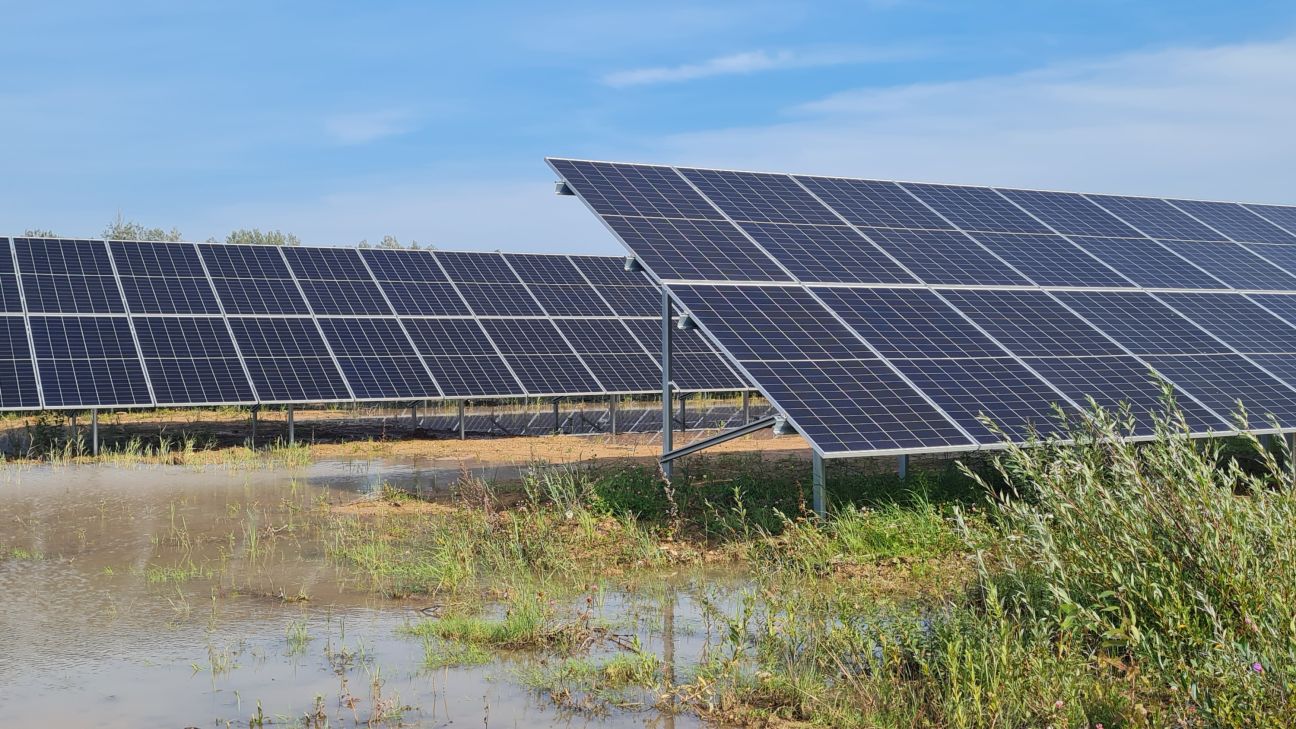 Jēkabpils kokapstrādes uzņēmums ierīko saules paneļu parku