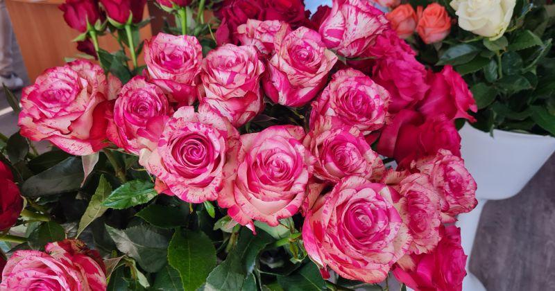 18.novembrī Jēkabpilī &ndash; svētku koncerts un pa&scaron;valdības apbalvojumu pasnieg&scaron;ana