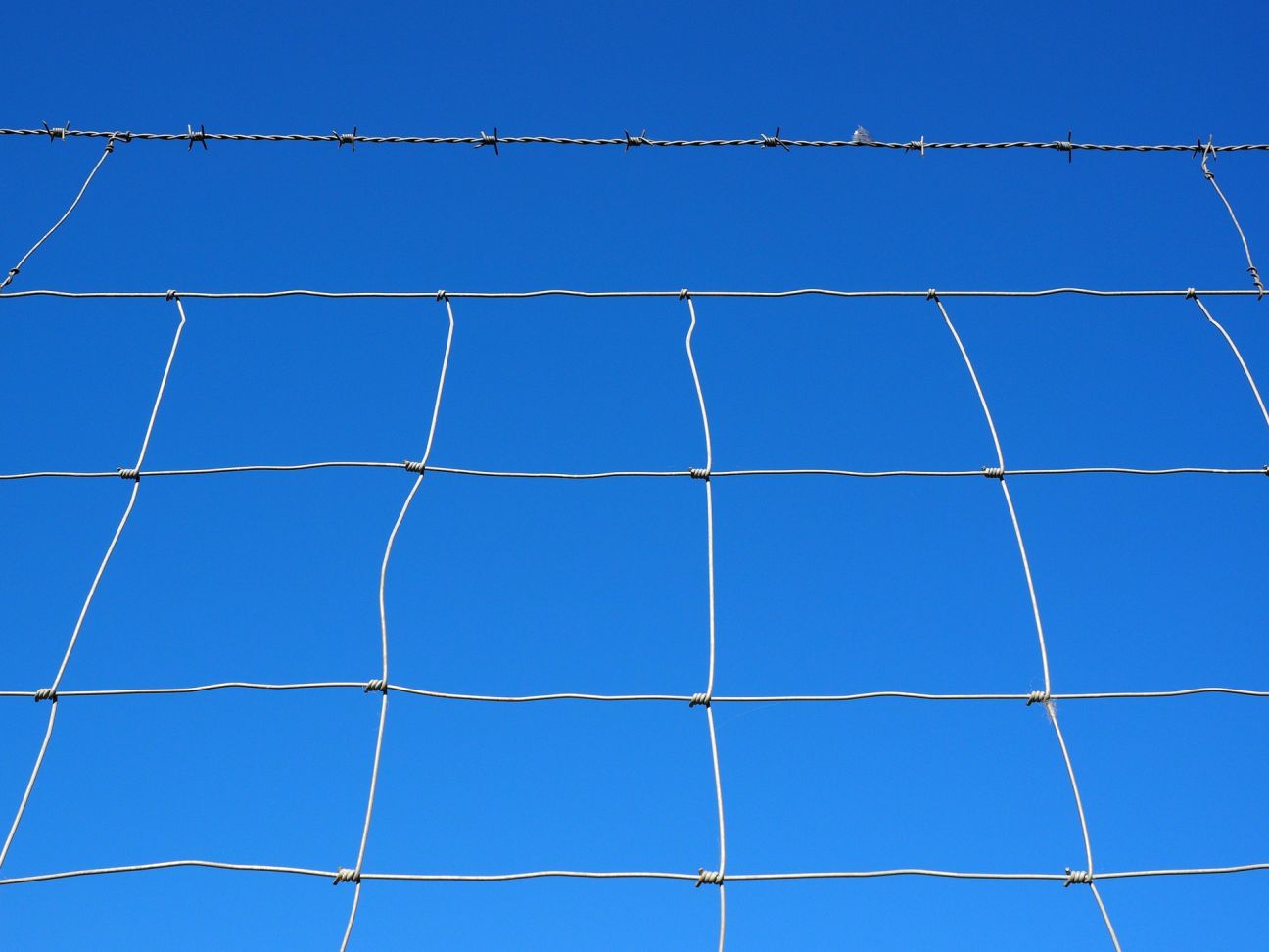 Apkopoti ieteicamie preventīvie pasākumi vilku uzbrukumu mazināšanai