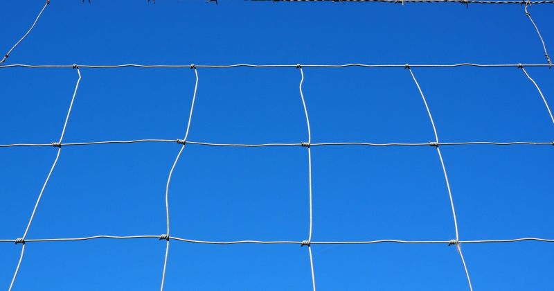 Apkopoti ieteicamie preventīvie pasākumi vilku uzbrukumu mazinā&scaron;anai