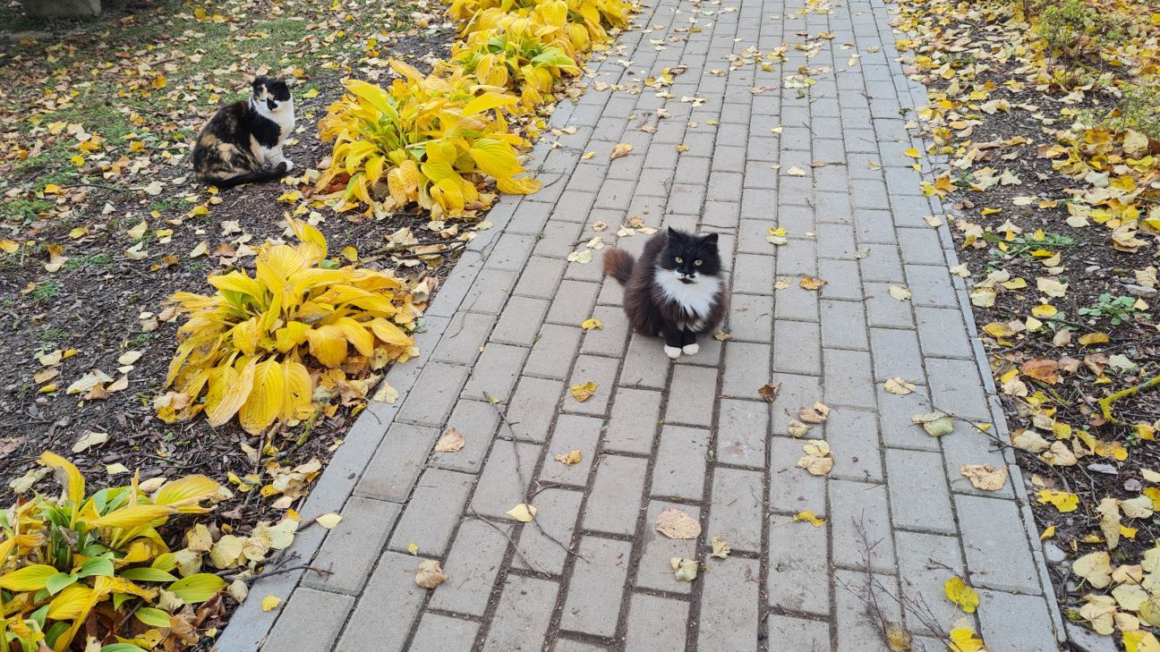 11 novērojumu stacijās pārspēts 31.oktobra siltuma rekords