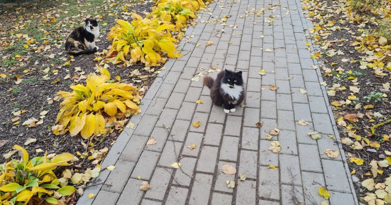 11 novērojumu stacijās pārspēts 31.oktobra siltuma rekords