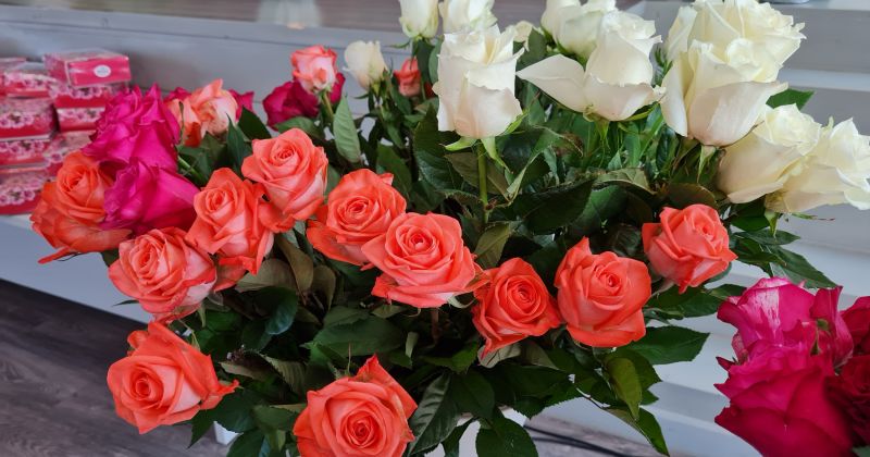 Jēkabpils novada Goda pilsoņi 2023 &ndash; Valentīna Skrodele un Jānis Subatiņ&scaron;