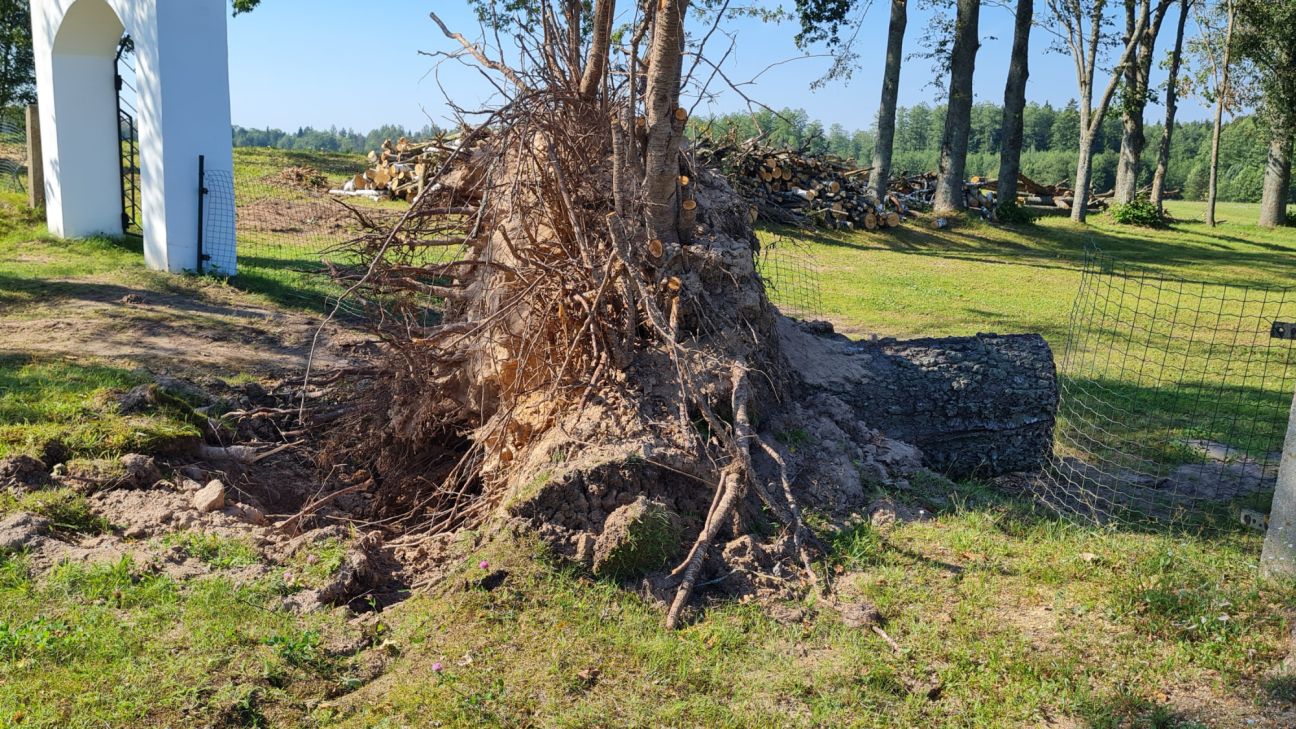 Līvānu novadam vētras postījumu novēršanai valdība piešķir 485 eiro