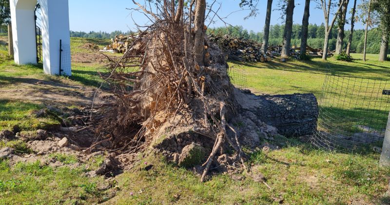 Līvānu novadam vētras postījumu novēr&scaron;anai valdība pie&scaron;ķir 485 eiro
