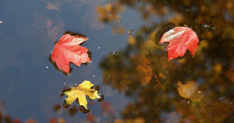 Alberts Stalidzāns atrasts miris