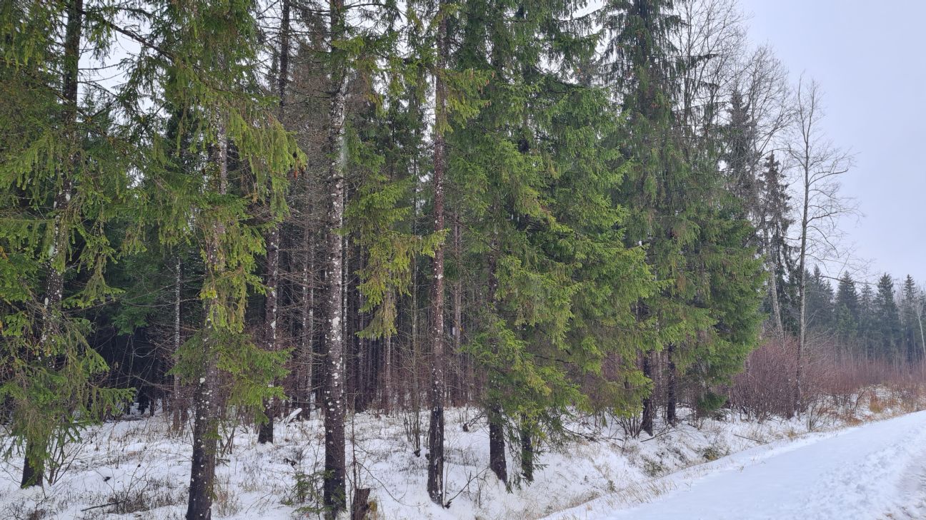 Jēkabpils novadā būs trīs jauni dabas liegumi
