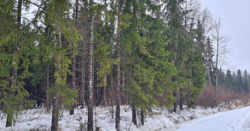 Jēkabpils novadā būs trīs jauni dabas liegumi