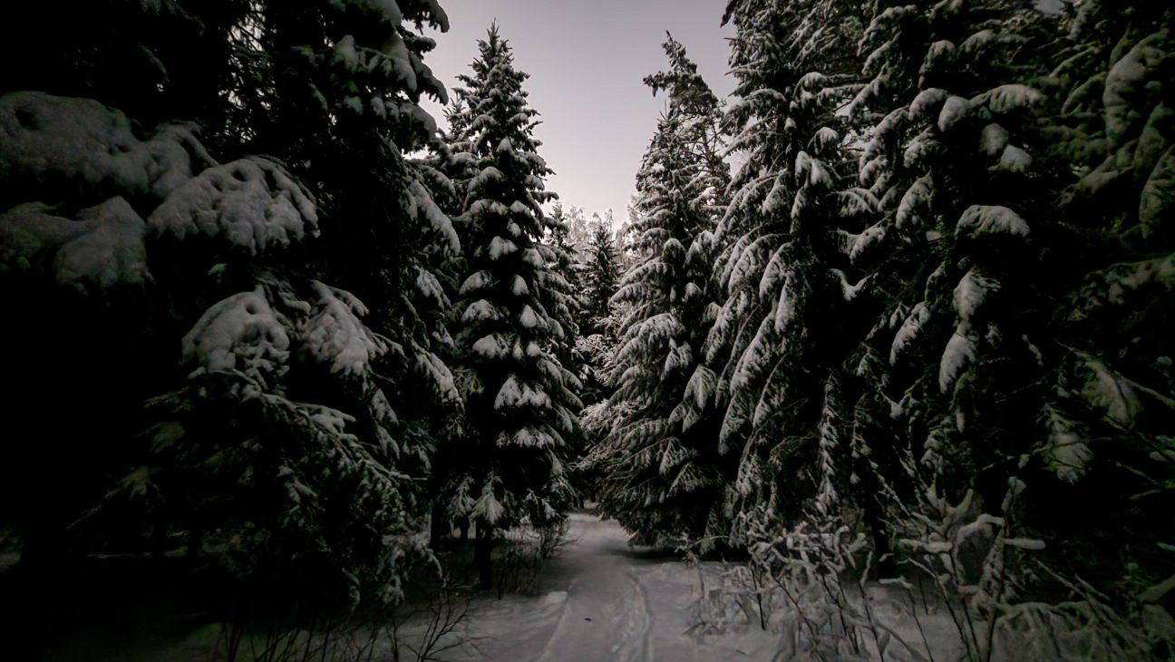 Stājas spēkā noteikumi par Jēkabpils Mežaparka apsaimniekošanu