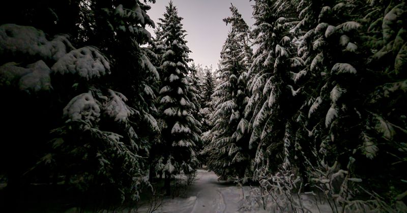 Stājas spēkā noteikumi par Jēkabpils Mežaparka apsaimnieko&scaron;anu