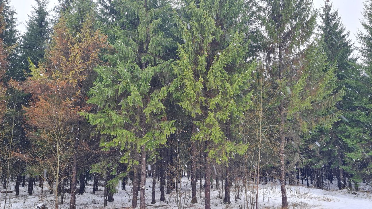 9.decembrī Laukezera dabas parkā notiks spēle ģimenēm