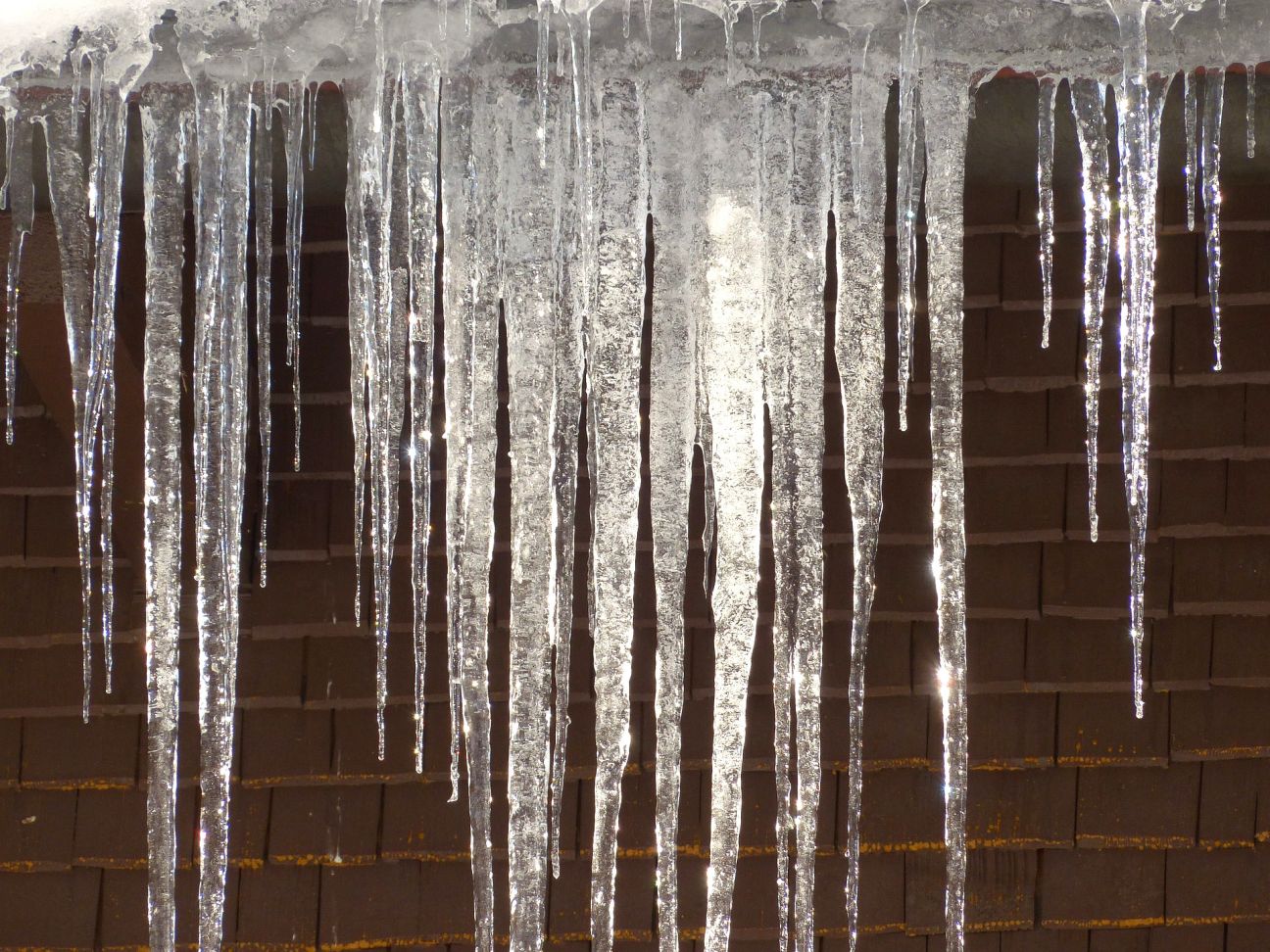 Daudzviet Jēkabpilī bīstamas lāstekas, bet pašvaldības policijai – “sasietas rokas”