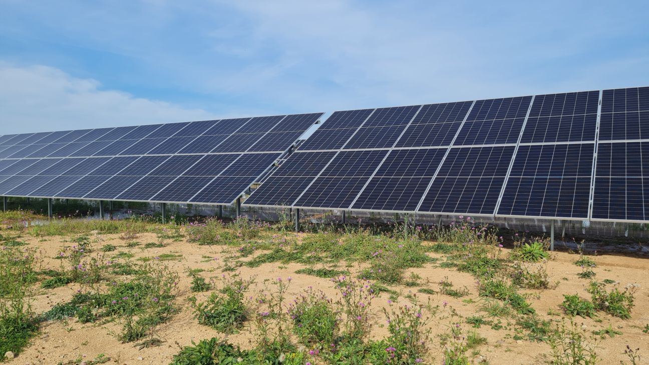 Saules paneļi draud sagādāt vilšanos, brīdina vadības konsultants