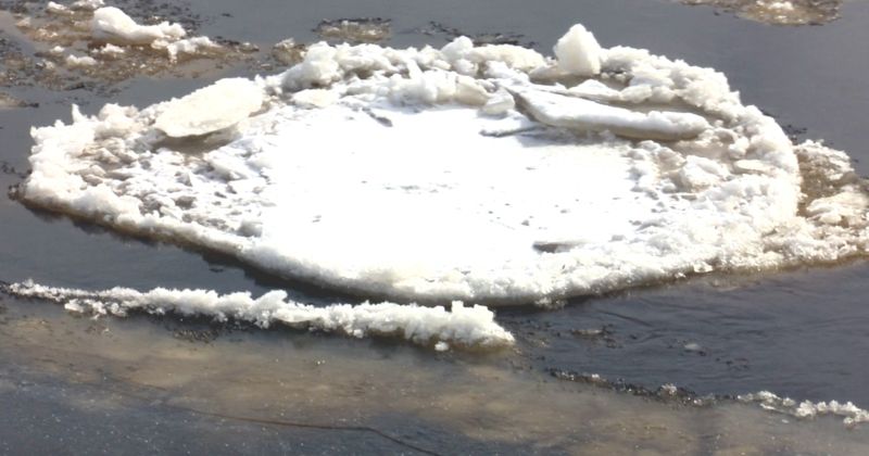 Līvānos no Dubnas upes ledus nocelts cilvēks