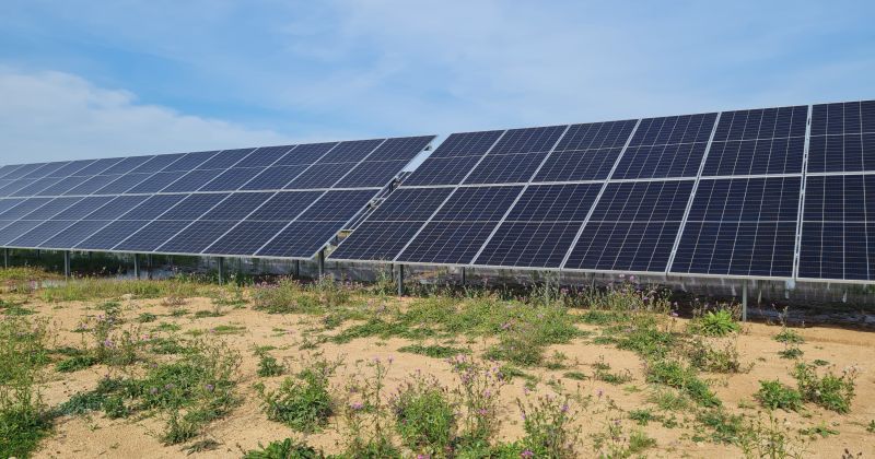 Saules paneļi draud sagādāt vil&scaron;anos, brīdina vadības konsultants