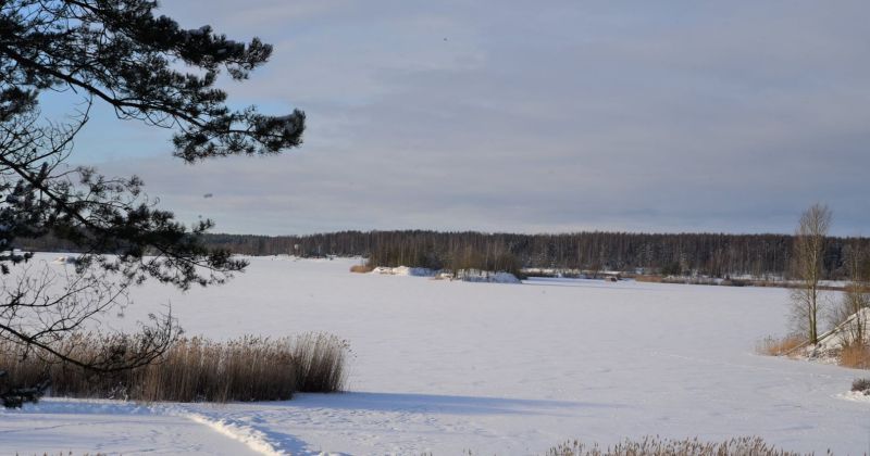 Atjaunota mak&scaron;ķerē&scaron;anas licenču tirdzniecība divās ūdenstilpēs