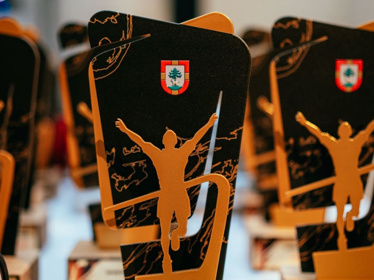 26.janvārī – balsošana par 2023.gada populārāko Jēkabpils novada sportistu